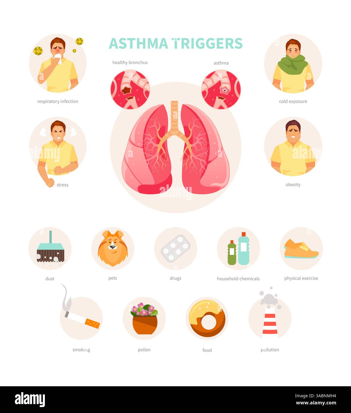 Set von Asthma-Triggern. Medizinische Vektor-Infografiken, Poster Stock Vektor