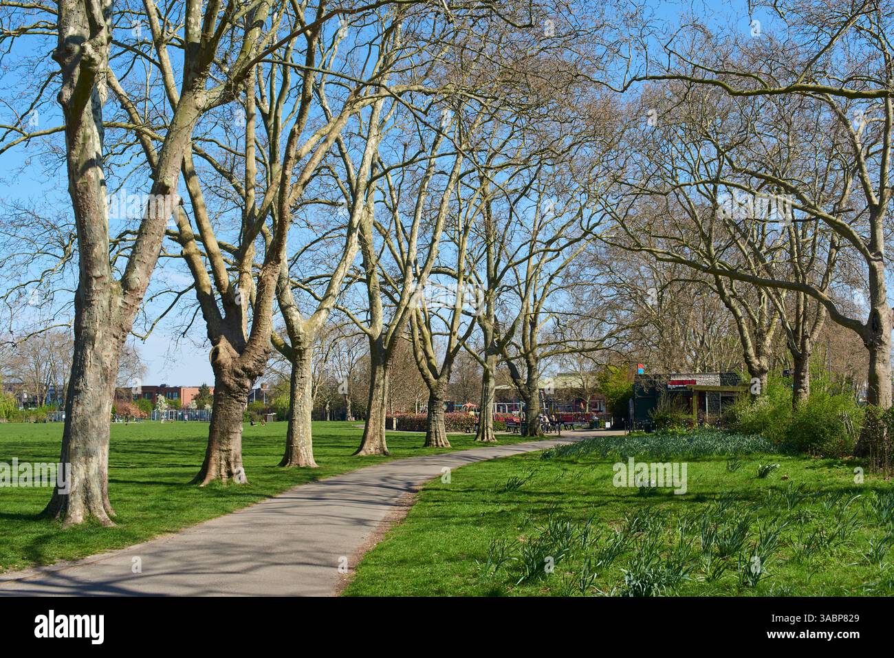 Chestnuts Park, South Tottenham, London, Großbritannien, im Frühling Stockfoto