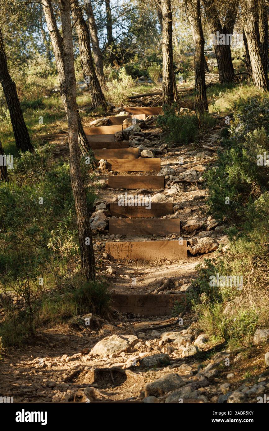 Rustikale künstliche Treppe im Wald auf dem Wanderweg Preventorium, Alcoy, Spanien Stockfoto