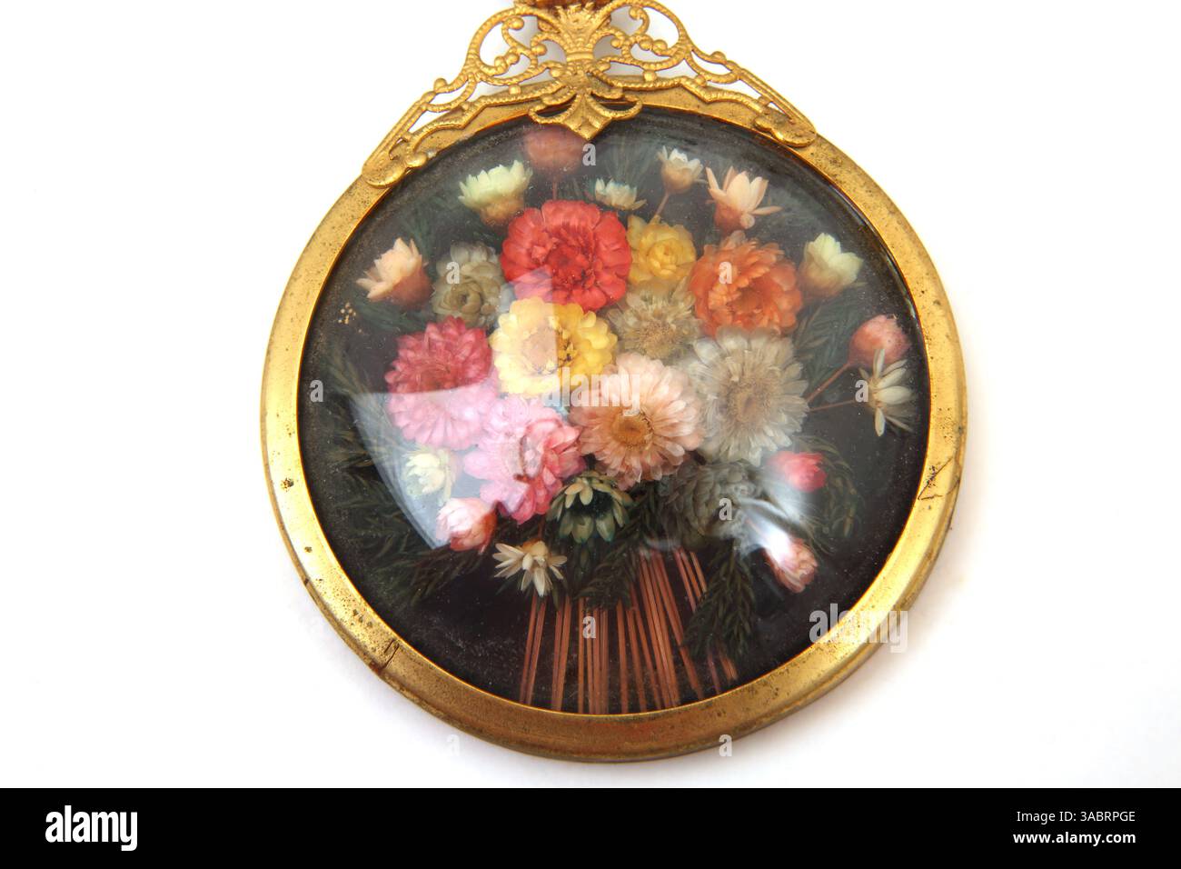 Vintage viktorianische konvex gewölbte Glasanhänger mit getrockneten Blumen innen Stockfoto