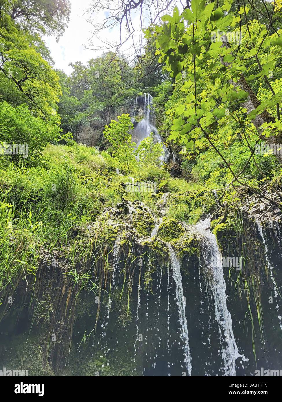 Der Wasserfall in Bad Urach, eingebettet in eine üppig grüne Waldlandschaft. Das Wasser fließt an einer Felswände hinunter und bildet einen kleinen Pool am Boden, umgeben Stockfoto