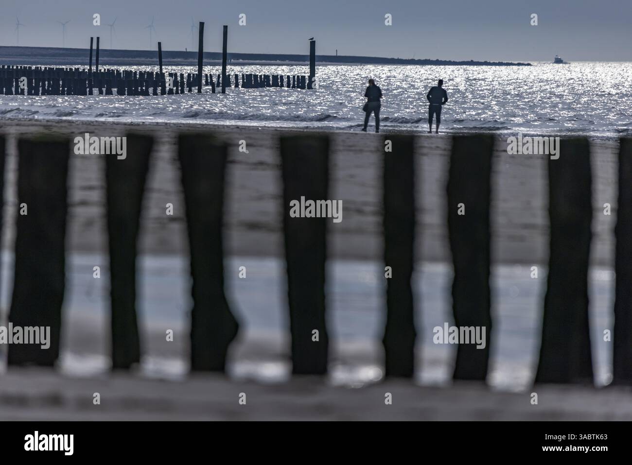 Silhouetten von 2 Personen am Strand hinter Holzsäulen, groyne, mit Meerwasser glitzernd im Sonnenlicht, Groede, Zeeland, Niederlande Stockfoto