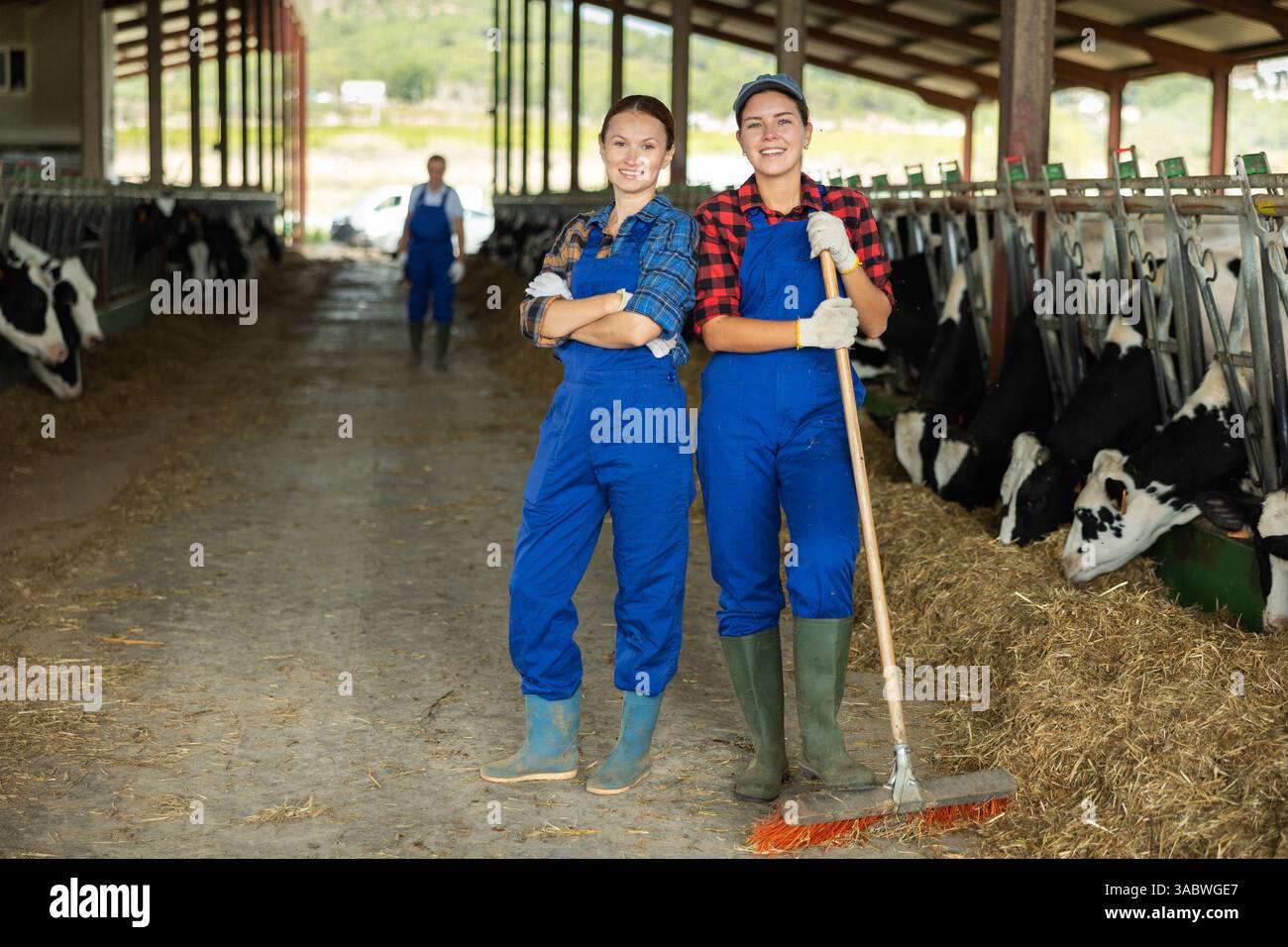 Erwachsene und junge Frauen, die im Kuhstall arbeiten Stockfoto