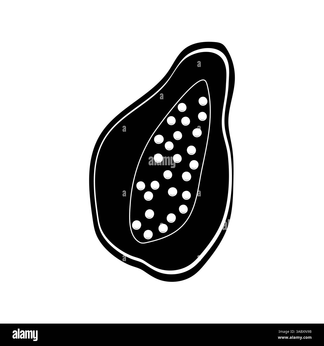 Frische Papaya in Scheiben geschnitten mit Samen auf einem hellen weißen Hintergrund Stock Vektor