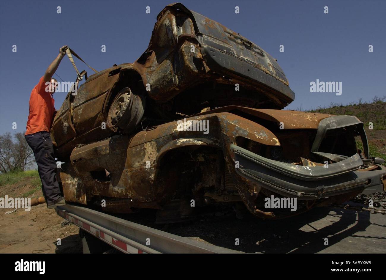 (Veröffentlicht am 22.04.2004, NC-1, NI-1; UTS1803045) Robert Holes schnallt zwei ausgebrannte Kadaver von einem Ort an der Old Barona Road auf der Spitze des Wildcat Canyon ab, um sie zu entfernen. Die Beseitigung von Schutt aus den Bränden ist im Gange. Peggy Peattie Foto Stockfoto