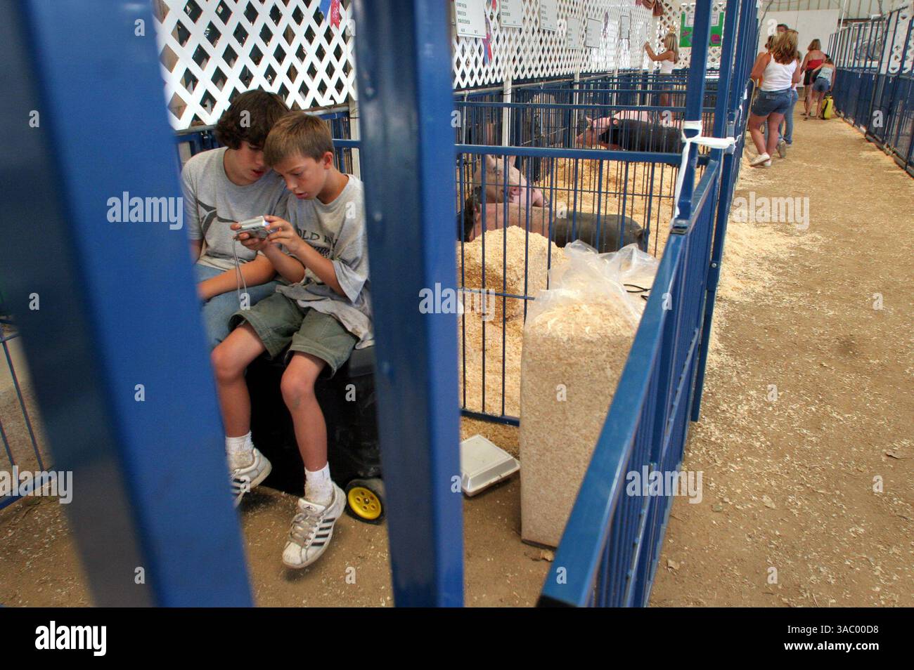 (Veröffentlicht am 7. August 2005, A-18) Tyler Fink, 13, links, und Ben Hannum, 10, beide von Ramona überprüfen Fotos ihrer Schweine am Einzugstag auf der Ramona Country Fair. Beide sind mit der Ramona Paisanos verbunden und beide stammen aus Ramona. Das Ramona Junior Fair Board erhielt einen Zuschuss in Höhe von 59.000 US-Dollar für den Kauf von Tierbuchten auf der Ramona County Fair. Aber die Country Supervisors, die den Zuschuss genehmigt haben, verloren die ursprünglichen Papiere und zwangen die Fair Board, die Rechnungen für die Stifte erneut einzureichen. UT/John Gastaldo Stockfoto