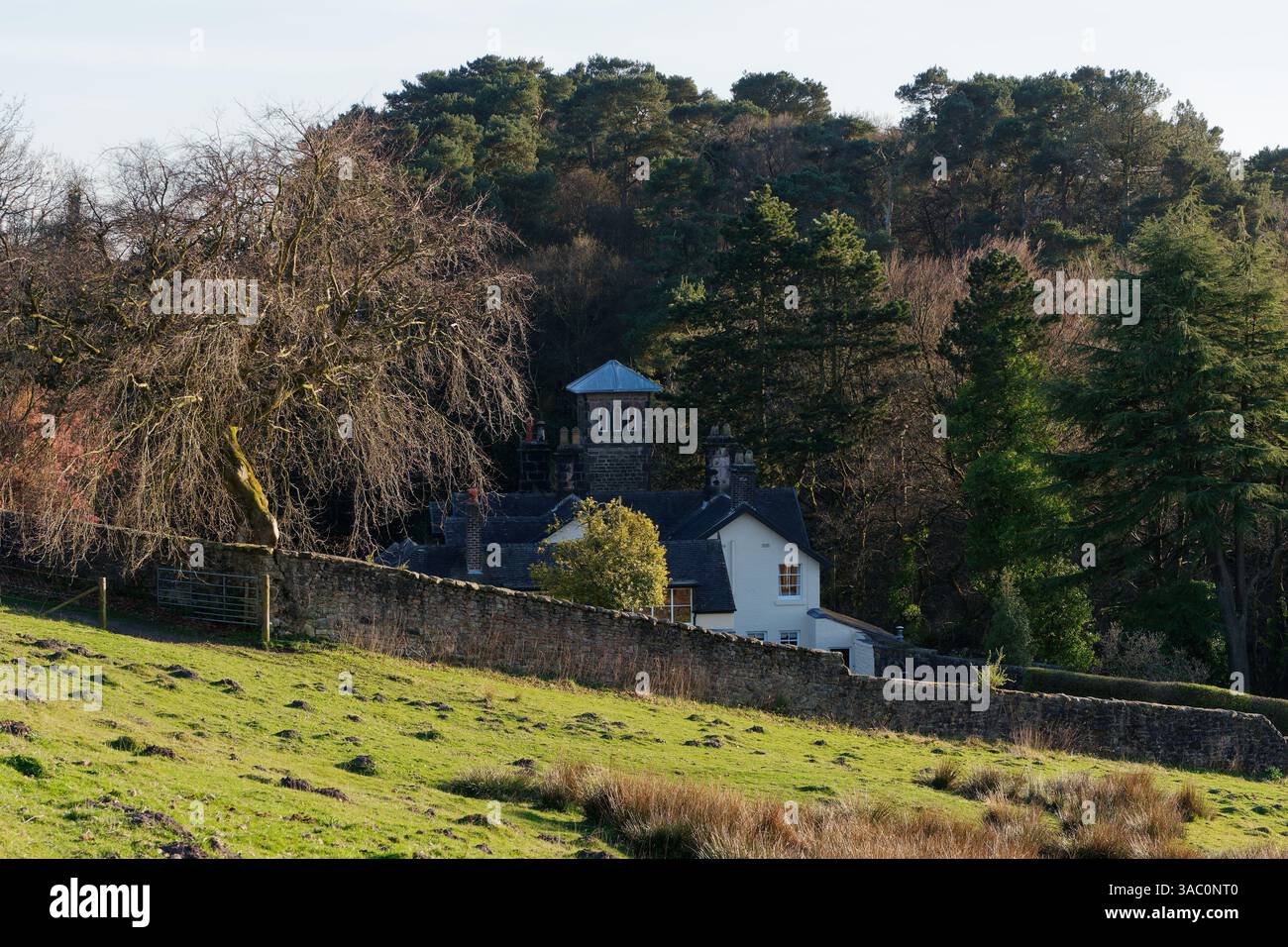 Historisches Gebäude mit Turm, umgeben von einer Steinmauer und Landschaft in Biddulph, Staffordshire, England. April 2025 Stockfoto
