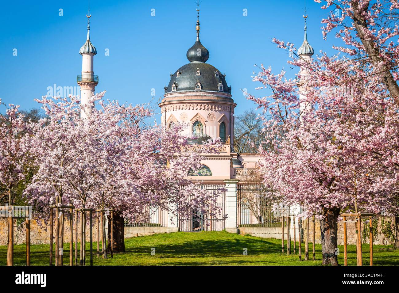 Kirschbäume und rosa Moschee im Schlosspark Schwetzingen, erbaut um 1780 in Deutschland Stockfoto