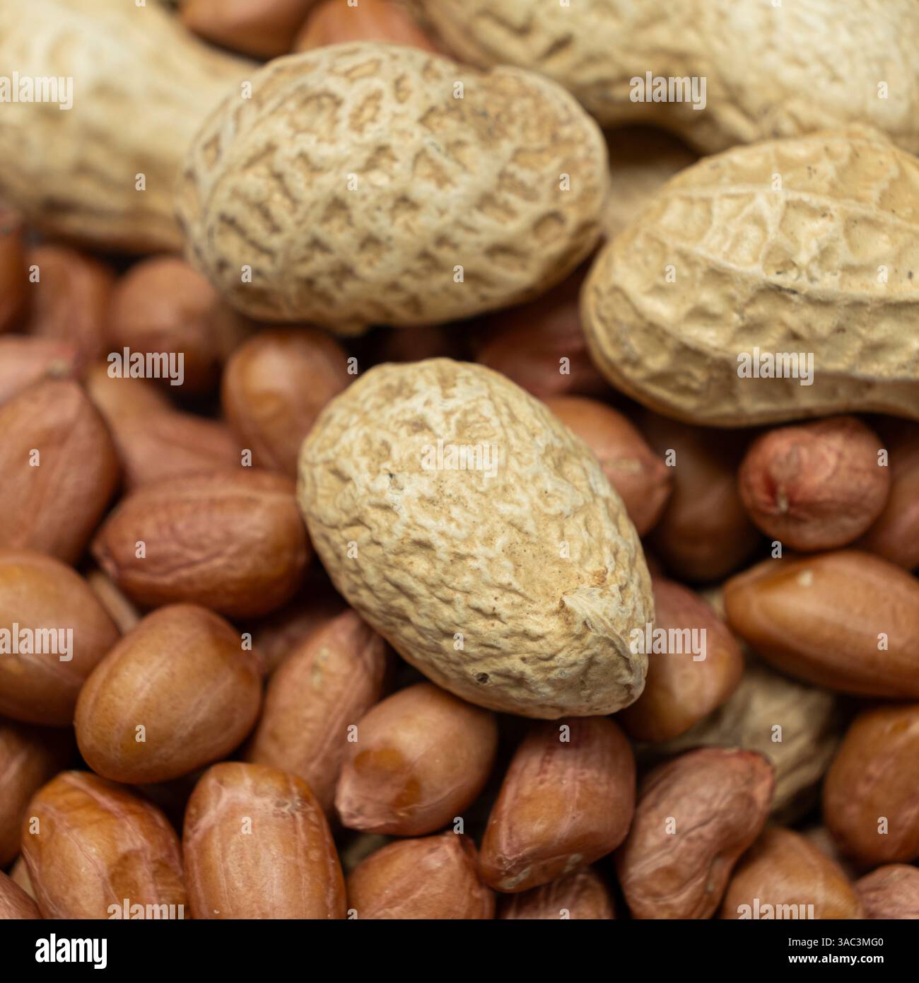 Close-up mit und ohne-Shell-Peanuts. Stockfoto