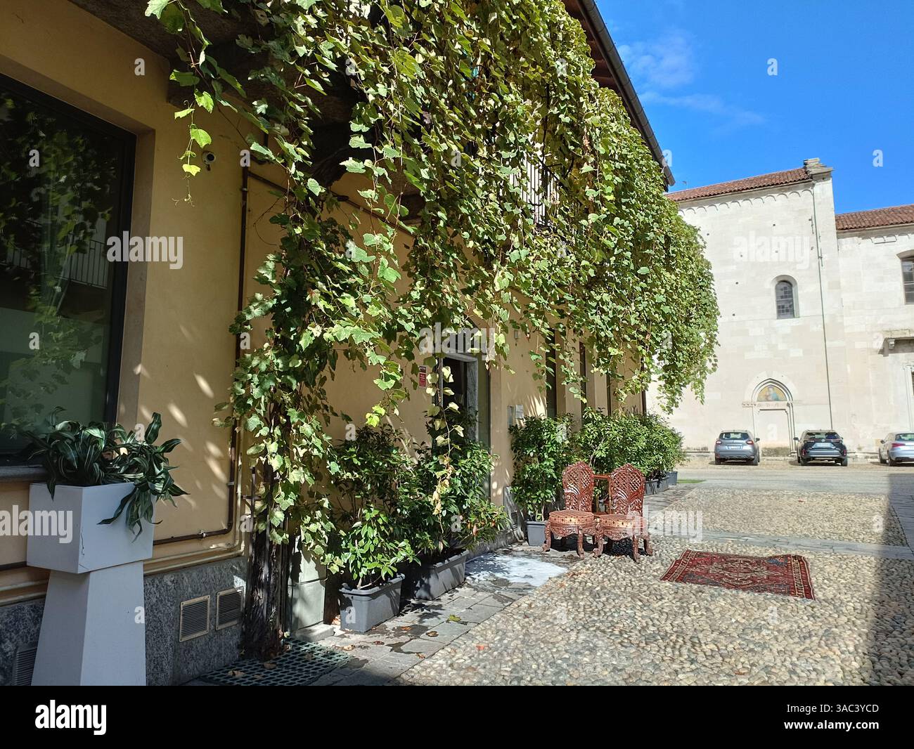 Italie Varese : mur Vegetal d'une Boutique dans une ruelle Stockfoto