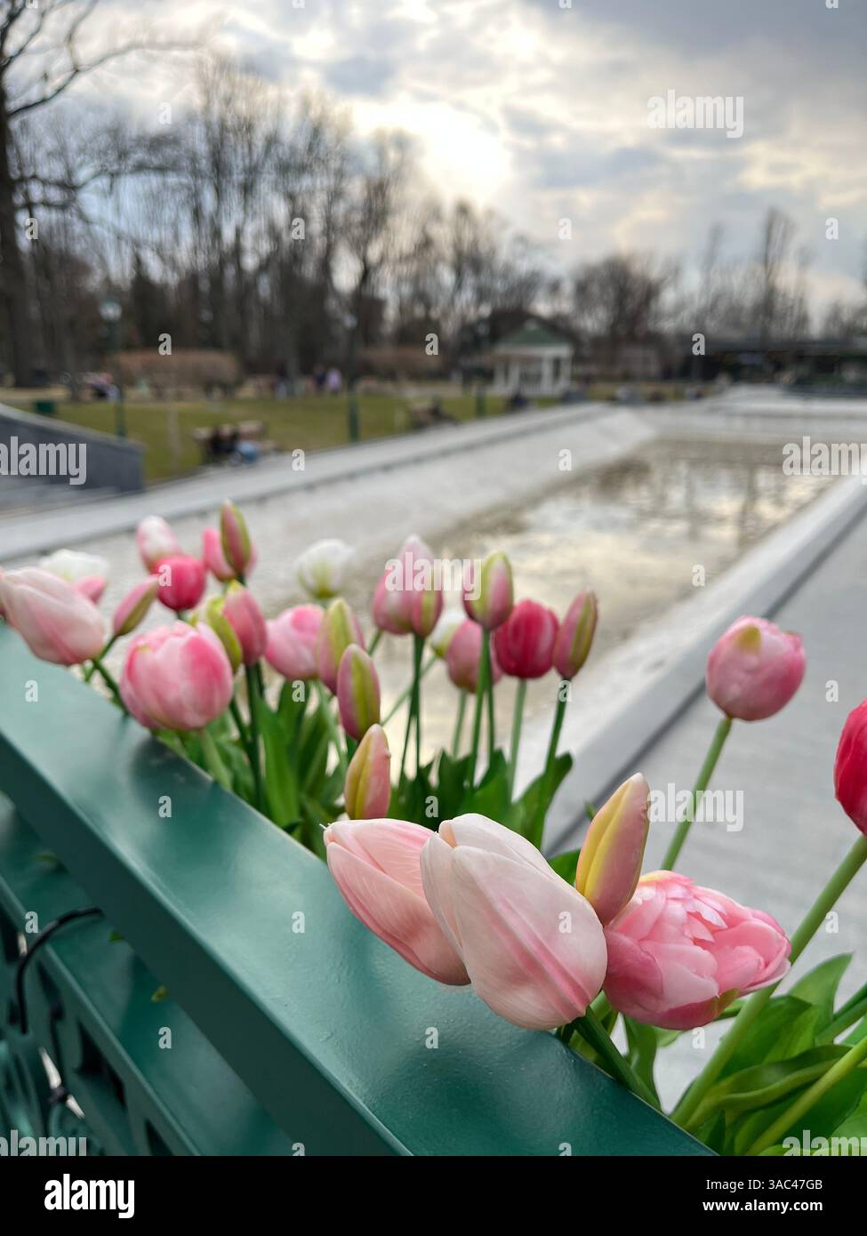 Frühling in Charkiw - Smartphone-aufgenommenes Stockfoto
