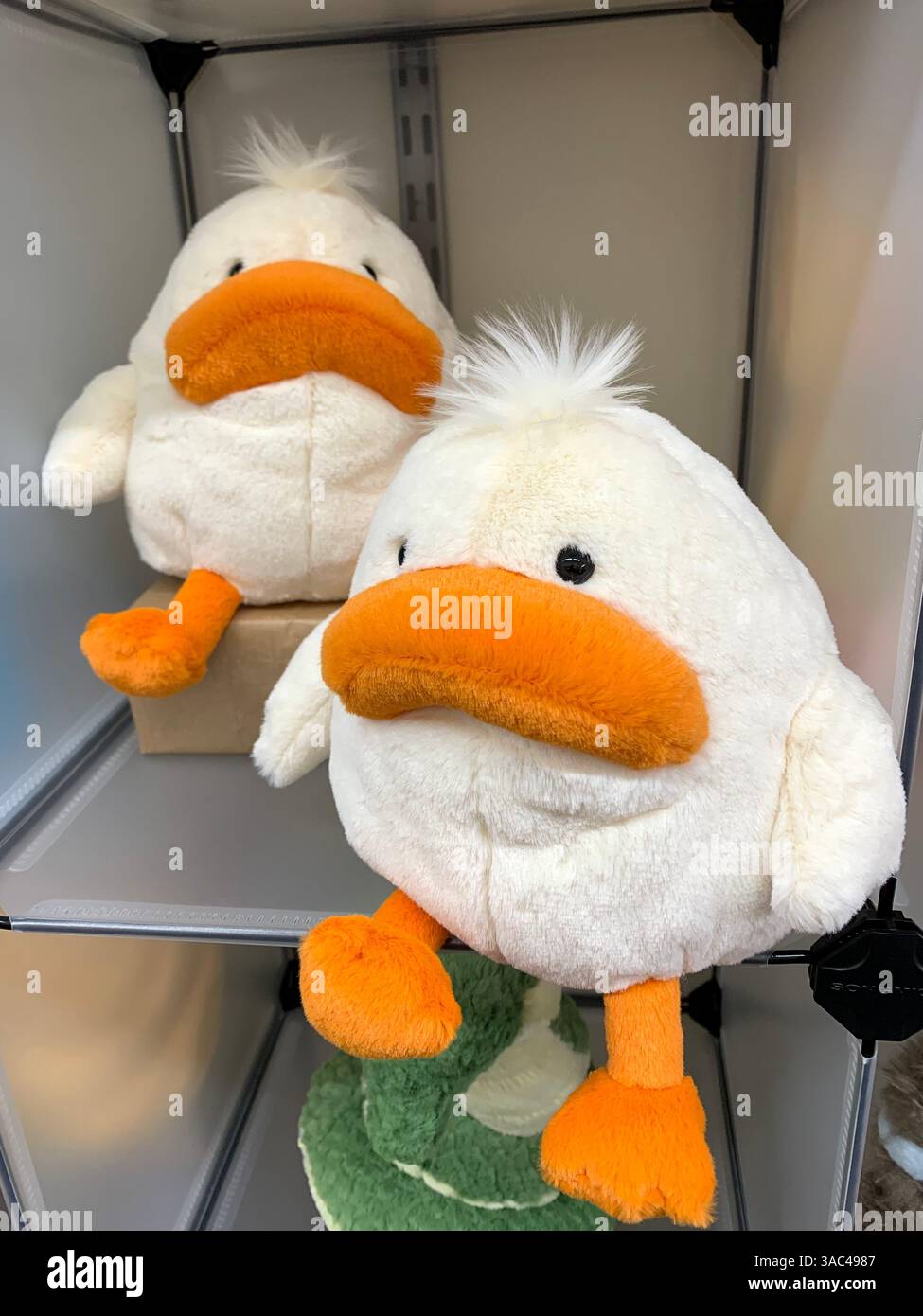 Harrogate Yorkshire England Großbritannien Großbritannien britische Geschäfte Einkaufsmöglichkeiten alte Kleidung Essen Essen das Ivy Restaurant viktorianische Stadt Kunst künstlerisches Design - Smartphone-aufgenommenes Stockfoto