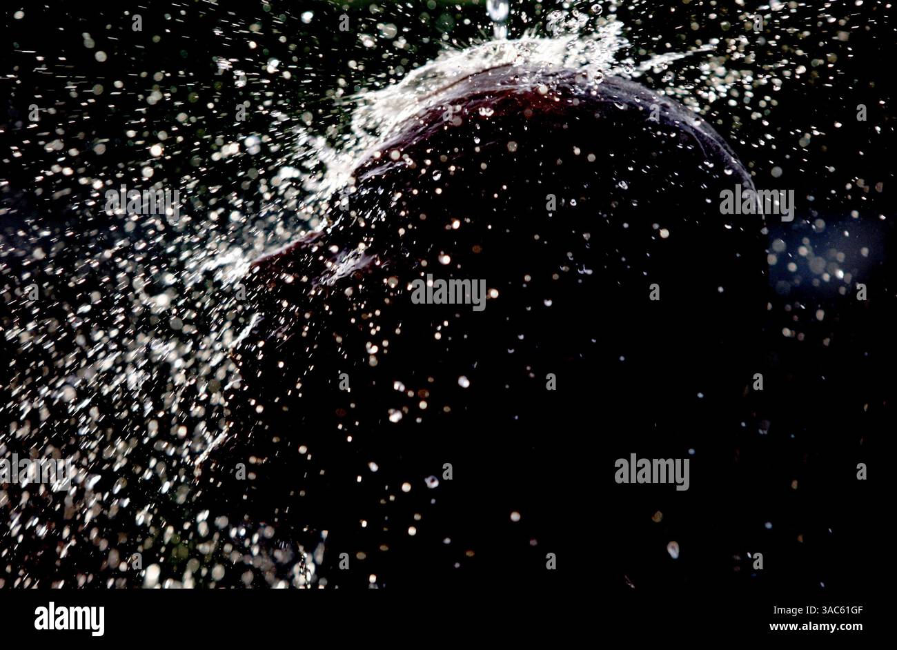 23. Januar 2008 – Kuala Lumpur, Malaysia – Ein hinduistischer Anhänger führt während des Thaipusam-Festivals ein rituelles Bad durch. Thaipusam ist ein Hindu-Festival, das von der tamilischen Gemeinschaft weltweit am Vollmond im tamilischen Monat Thai gefeiert wird, wobei die Feierlichkeiten im Batu-Höhlentempel viele Besucher anlocken. Malaysische Gläubige bereiten sich auf das Ereignis vor, indem sie sich durch Gebet und Fasten reinigen. Fromme Teilnehmer durchstechen die Haut, Zunge oder Wangen mit Spießen. Es heißt, je größer der Schmerz, desto mehr Gott verdienten Verdienst. Stockfoto