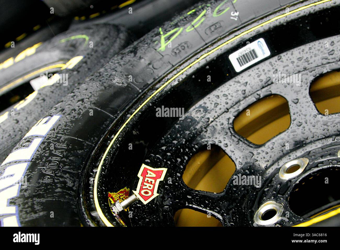 14. März 2008 Food City 500 Bristol Motor Speedway Bristol, TN – Reain Delay während des Trainings für die Food City 500 auf dem Bristol Motor Speedway in Bristol, TN. (Matthew T. Thacker/ASP Photo)(Foto: © PHOTOGRAER/Cal Sport Media) Stockfoto