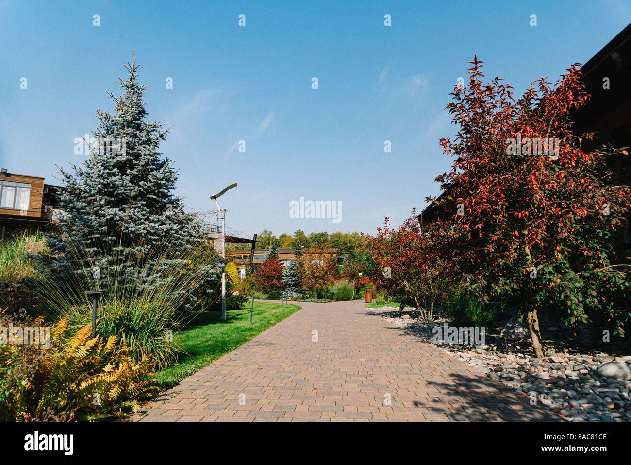 Moskau Russland - 2023.09.29 - malerischer Blick auf einen gepflasterten Gartenweg, gesäumt von bunten Herbstbäumen, immergrünen und landschaftlich begrüntem Grün unter Clea Stockfoto