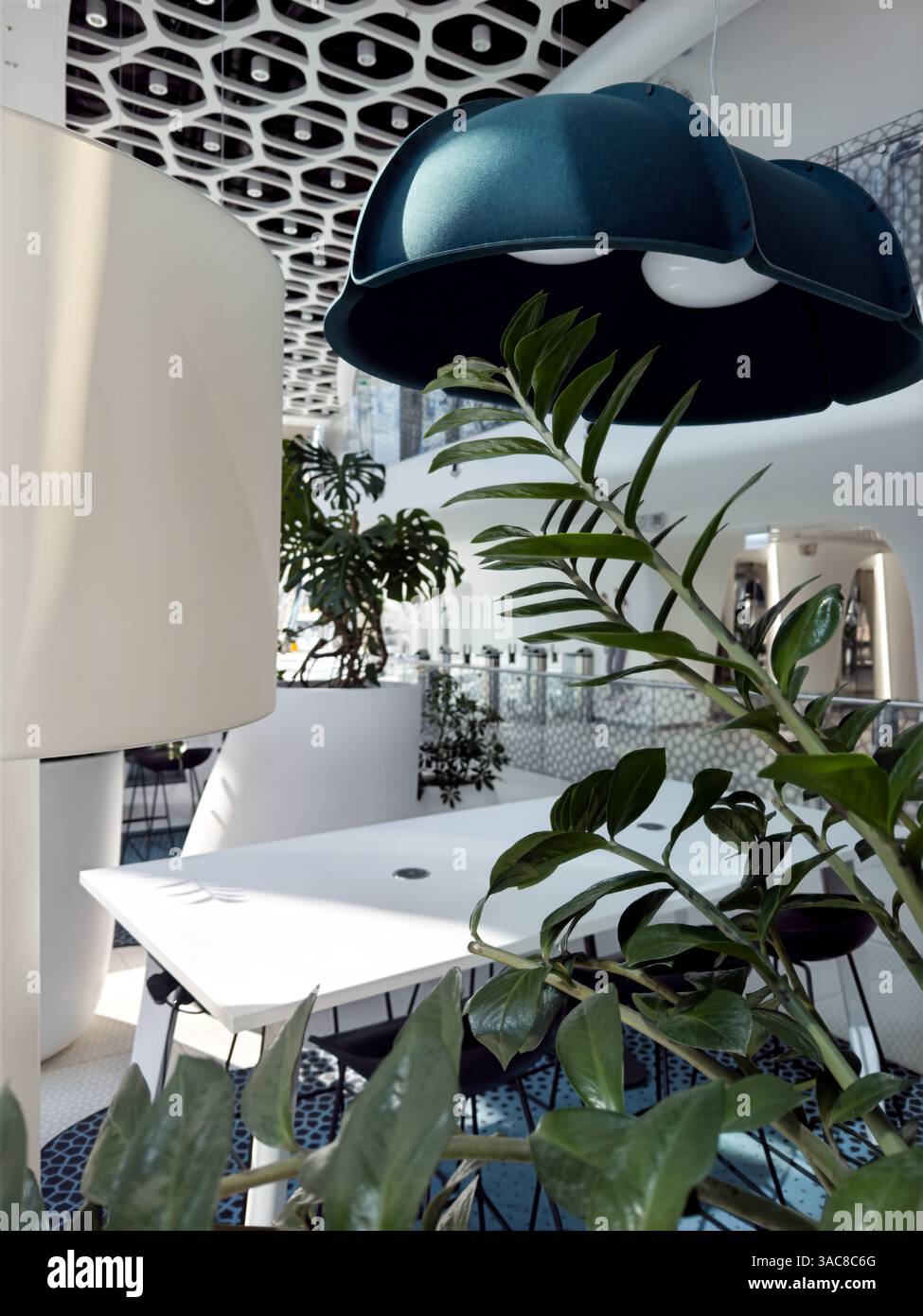 Coworking Space mit weißen Tischen, futuristischen Stühlen und üppigen Innenpflanzen. Moderne Inneneinrichtung mit Tageslicht und eleganter Einrichtung. - Smartphone-aufgenommenes Stockfoto