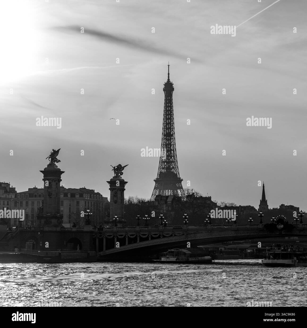 Silhouette der Brücke und des Eiffelturms in Paris, Frankreich Stockfoto