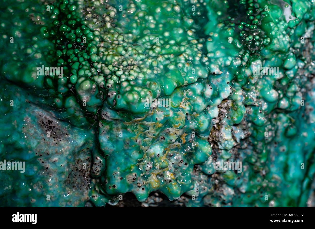 PRODUKTION - 02. April 2025, Sachsen-Anhalt, Sangerhausen: In einer Tiefe von fast 300 Metern kann man im Erlebniszentrum Bergbau Röhrigschacht Wettelrode die bunte Pracht des sogenannten Grünen Gewölbes unter der Erde sehen. Das Sintern wird durch gelöste Mineralien aus dem Kalkstein verursacht. Die Farbpalette reicht von kräftigen Brauntönen bis zu weiß, Grün, Türkis, Blau und Schwarz. Die ersten Bergleute begannen vor 825 Jahren in der Region Mansfeld mit dem Graben nach Kupfererz. Ab 1750 wurde ein intensiver Bergbau durchgeführt. Insgesamt wurden rund 2,6 Millionen Tonnen Kupfer und 14.213 Tonnen Silber e gezählt Stockfoto