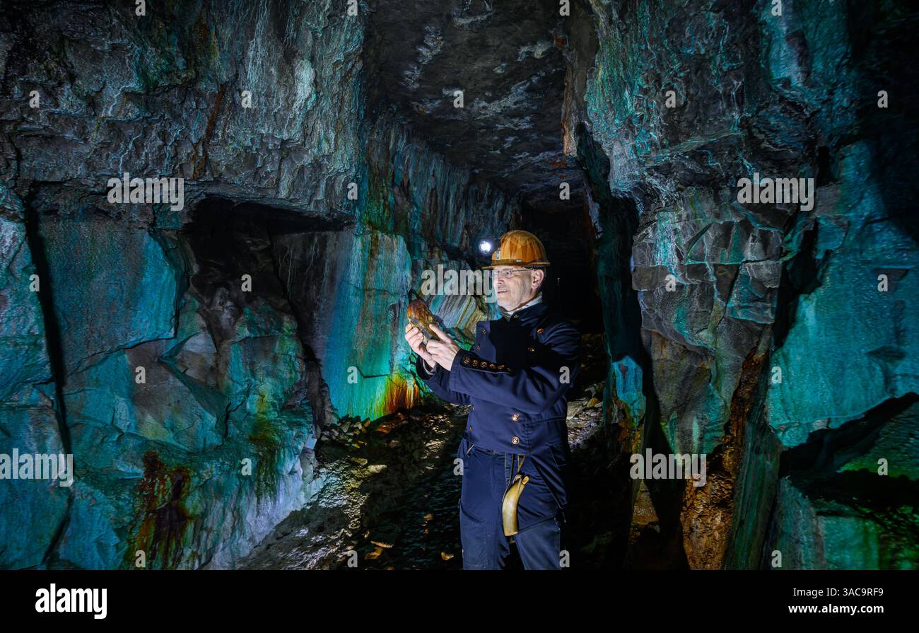 PRODUKTION - 02. April 2025, Sachsen-Anhalt, Sangerhausen: Thomas Wäsche, Leiter des Erlebniszentrums Bergbau Röhrigschacht Wettelrode, steht fast 300 Meter unterirdisch im sogenannten Grünen Gewölbe. Das Sintern wird durch gelöste Mineralien aus dem Kalkstein verursacht. Die Farbpalette reicht von kräftigen Brauntönen bis zu weiß, Grün, Türkis, Blau und Schwarz. Die ersten Bergleute begannen vor 825 Jahren in der Region Mansfeld mit dem Graben nach Kupfererz. Ab 1750 wurde ein intensiver Bergbau durchgeführt. Insgesamt wurden rund 2,6 Millionen Tonnen Kupfer und 14.213 Tonnen Silber aus dem Erz gewonnen Stockfoto