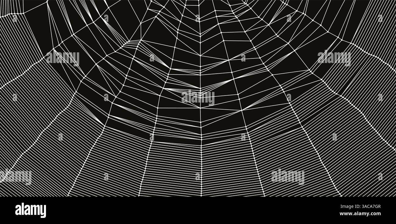 Spinnennetz oder Spinnennetz. Netzwerkhintergrund. Verbindungsstruktur. Vektordarstellung von 3D-Drahtmodellen im Technologiestil. Stock Vektor