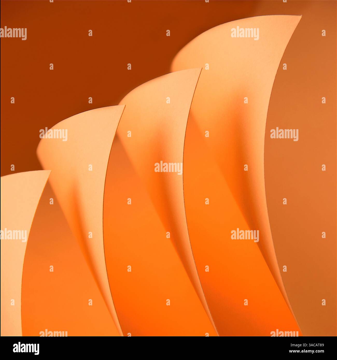 Lockenpapier Orange Stillleben Textur und Schatten Stockfoto