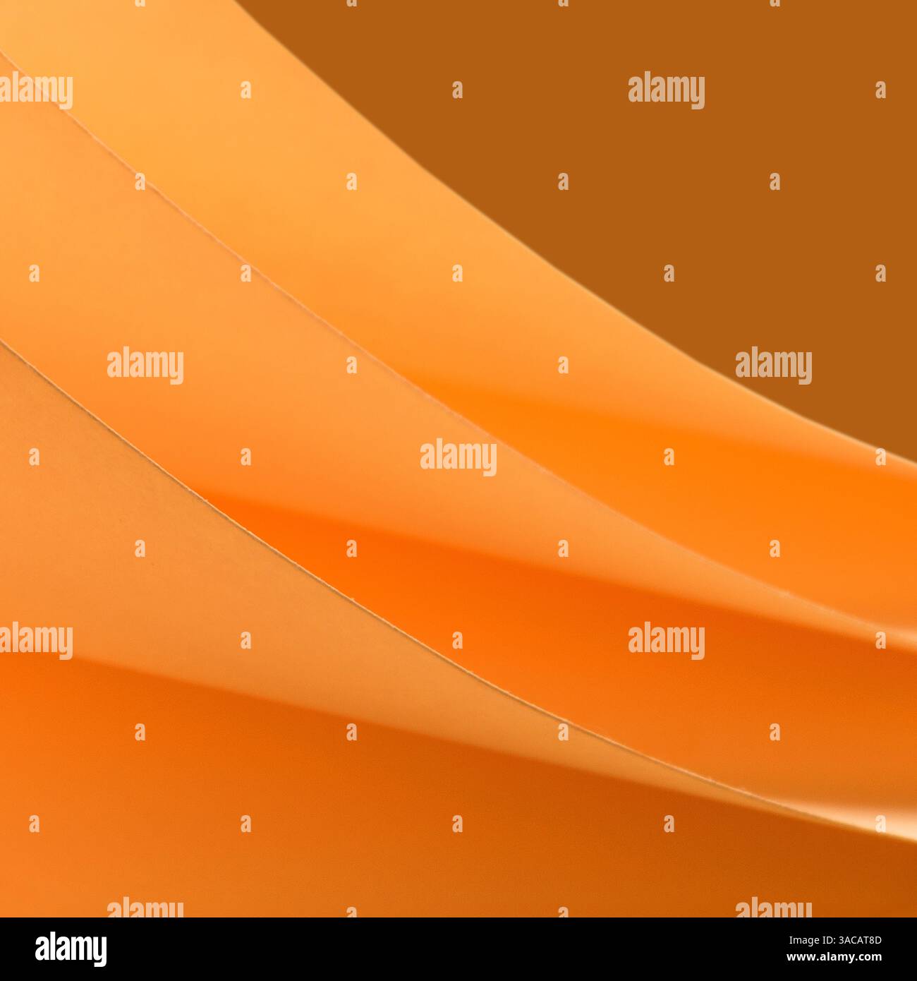 Lockenpapier Orange Stillleben Textur und Schatten Stockfoto