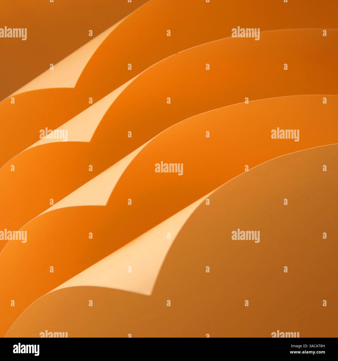 Lockenpapier Orange Stillleben Textur und Schatten Stockfoto