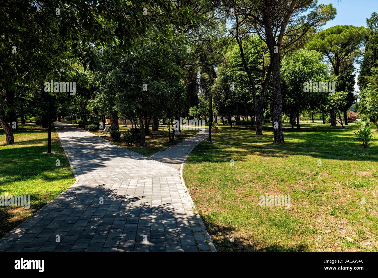 Podgorica, Montenegro Njegosev Park mit Fußgängerweg und grünen Bäumen im Sommer in der Hauptstadt des Balkanlandes Stockfoto
