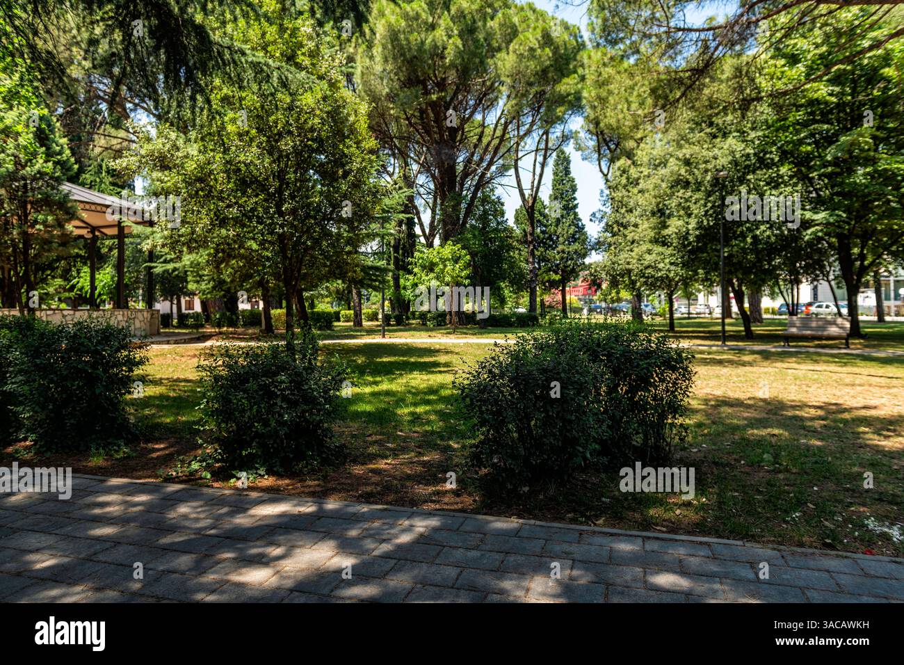 Podgorica, Montenegro Njegosev Park mit Fußgängerweg an grünen Bäumen im Sommer in der Hauptstadt des Balkanlandes Stockfoto