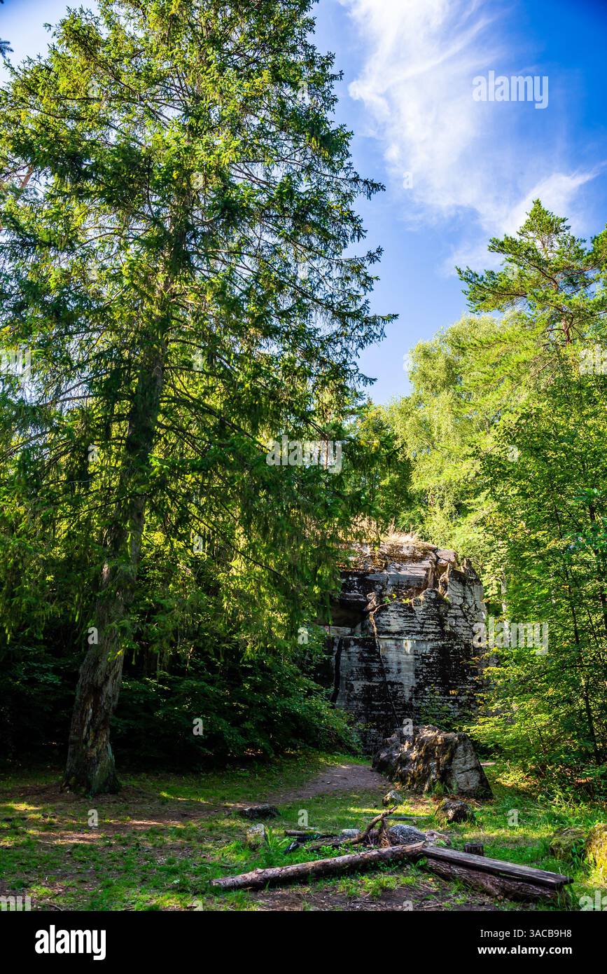 Pozezdrze, Polen - 15. August 2021. SS-Feldkommando nach Hochwald Stockfoto