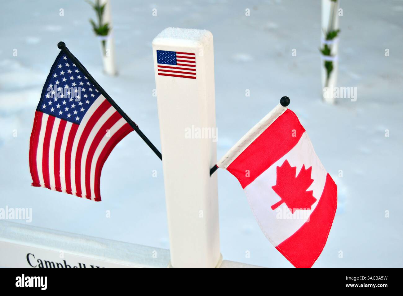 Eine kanadische und amerikanische Flagge wird am Remembrance Day in Calgary an einem Gedenktag angebracht, der den Amerikaner ehrt, der im Zweiten Weltkrieg für Kanada gekämpft hat Stockfoto