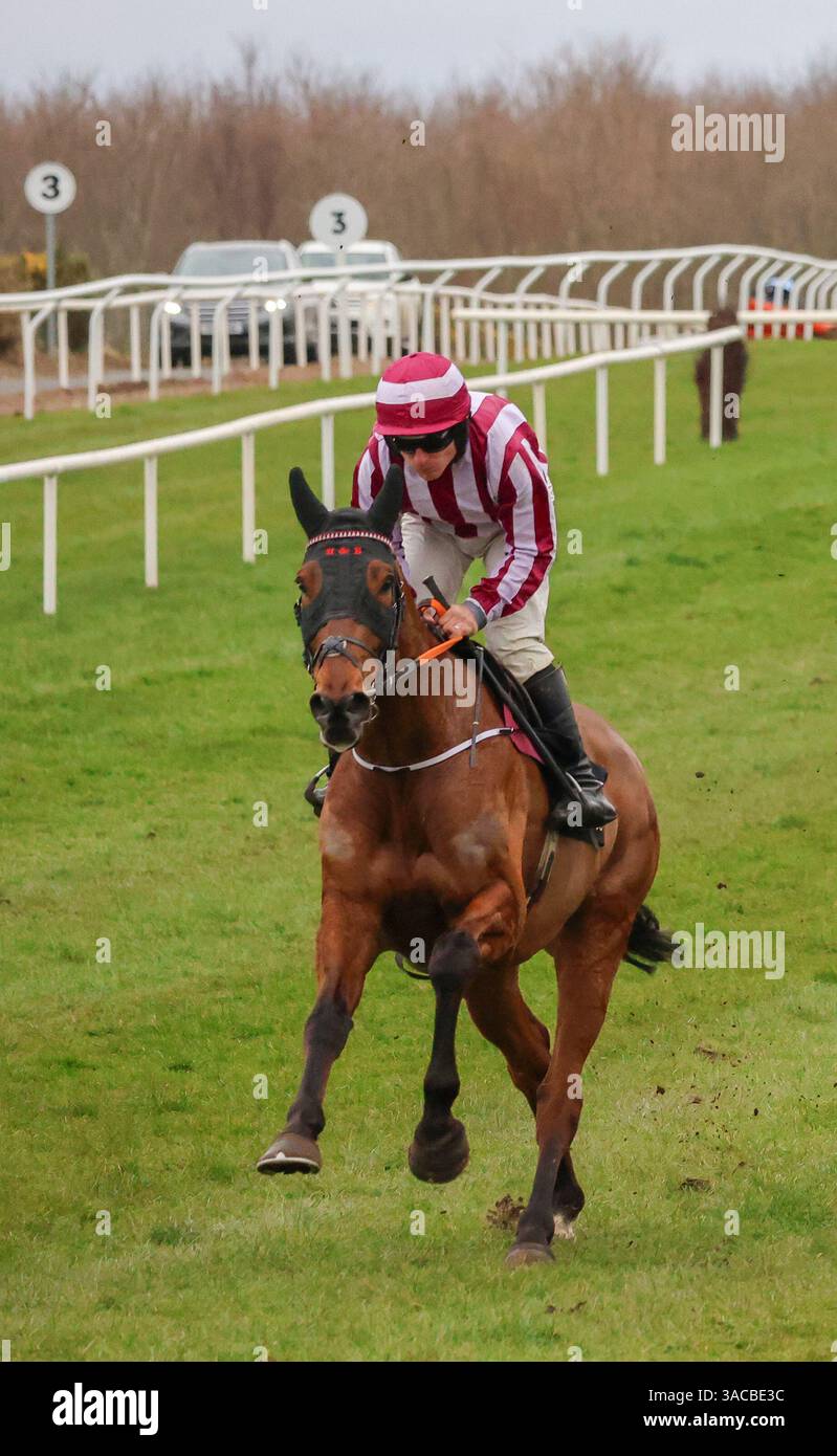 Down Royal, Lisburn, County Antrim, Nordirland. März 2025. St Patrick's Day Race Meeting - Bluegrass Horse Feed bewertet Anfänger Chase - Rennpferd Spirit of Legend (1) geritten von Jockey Phillip Enright. Stockfoto