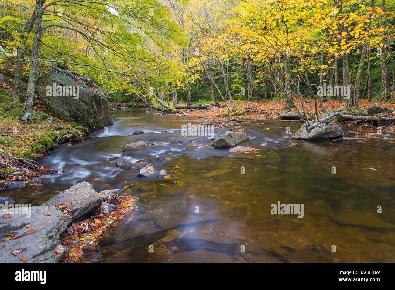 USA, North Carolina, Blue Ridge Parkway. Landschaft mit Bach und Wald. ©Don Paulson / Jaynes Gallery / DanitaDelimont.com Stockfoto