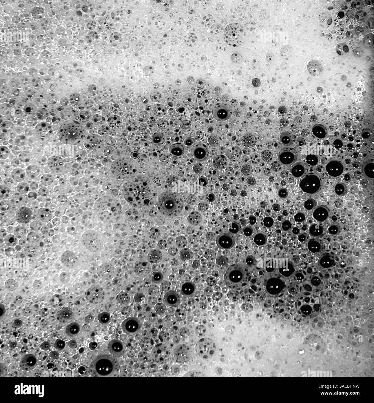 Seifenblasen verschiedener Größen erzeugen eine faszinierende Textur, wenn sie auf der Oberfläche einer Seifenmischung in monochromer Umgebung schweben. Stockfoto
