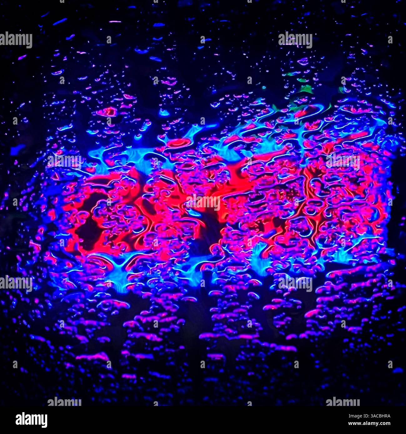 Leuchtende Neonfarben und Regentropfen sorgen bei Nacht für ein faszinierendes Display an einem regenbedeckten Fenster Stockfoto