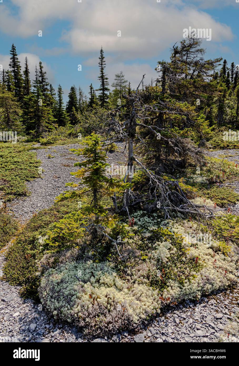 Quebec, Havre-Saint-Pierre, Kanada. Archipel-Nationalpark. Stockfoto