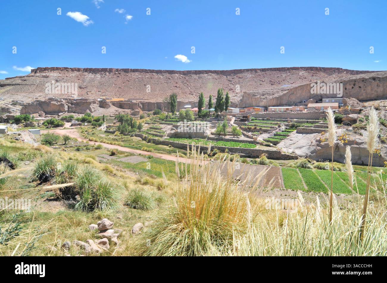 Caspana chilenisches Dorf in der Schlucht, die vom Fluss in der chilenischen Atacama-Wüste gemeißelt wurde Stockfoto