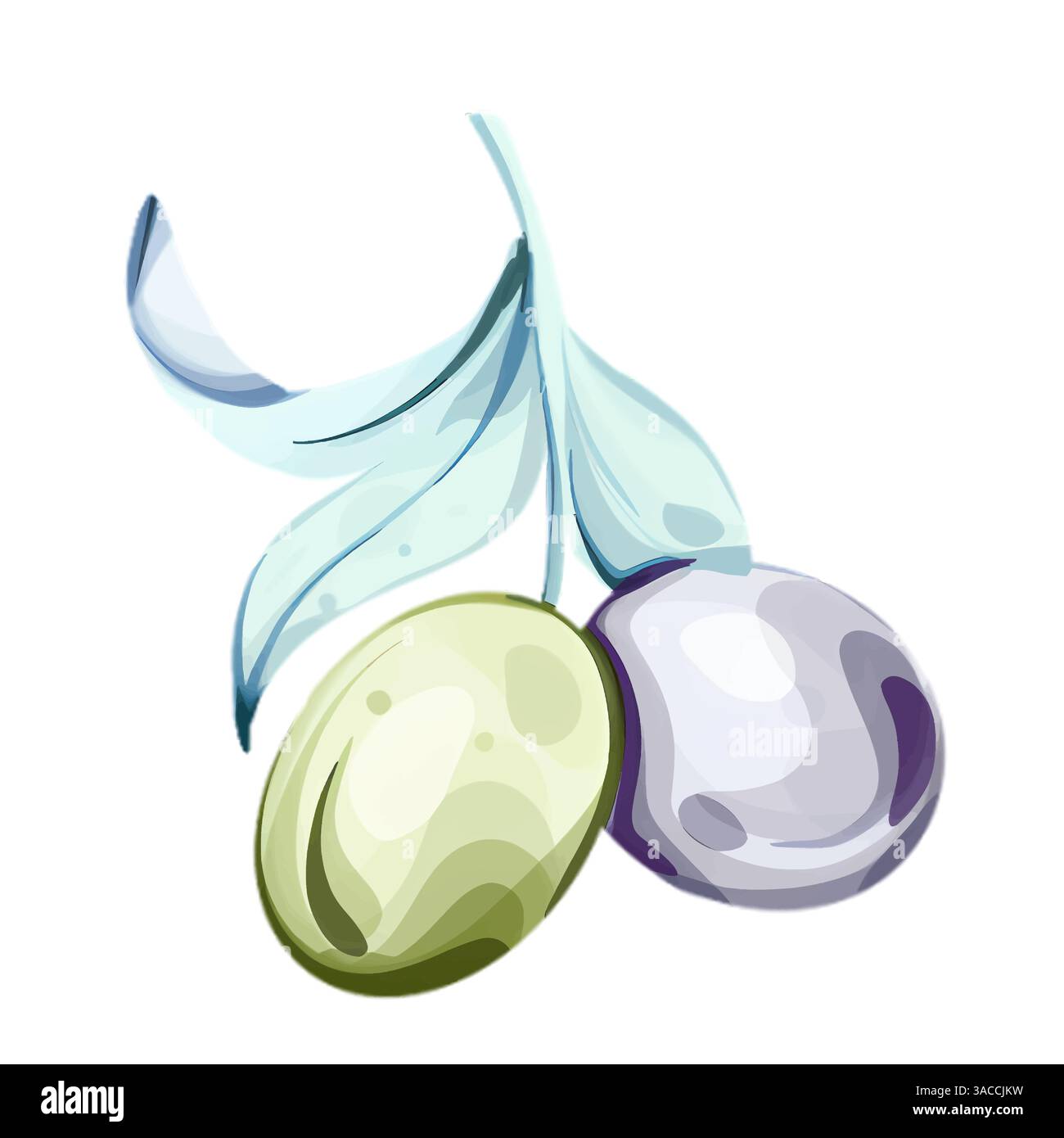 Erkunden Sie die pulsierende Welt der Oliven und des Olivenöls durch Aquarellgrafiken, die von der Natur inspiriert sind Stock Vektor