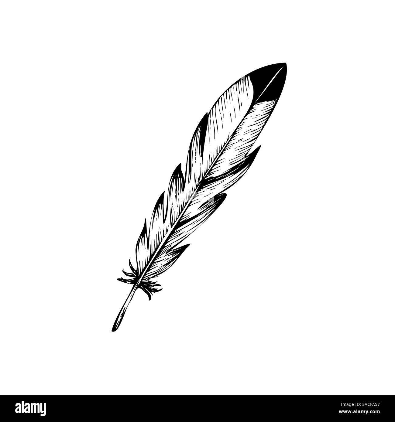 Vektor-Vogelfeder. Handgemalte Linearstift-Illustration. Grafische Schwarzweißskizze isoliert auf Hintergrund. Für Designer, Prints, Logos, Icons Stock Vektor