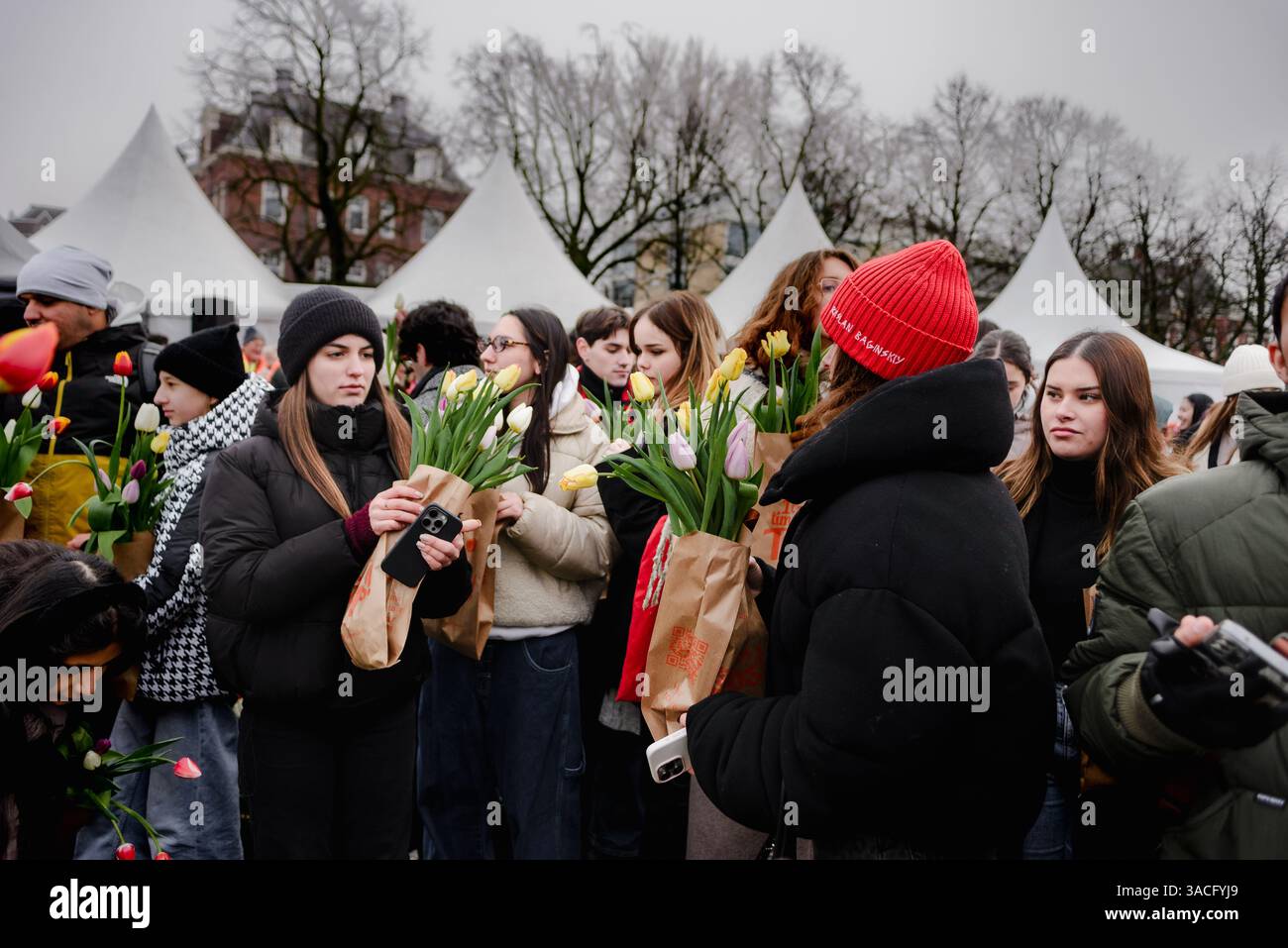 Treffen Sie sich mit Tulpenbouquets am National Tulip Day Amsterdam Stockfoto