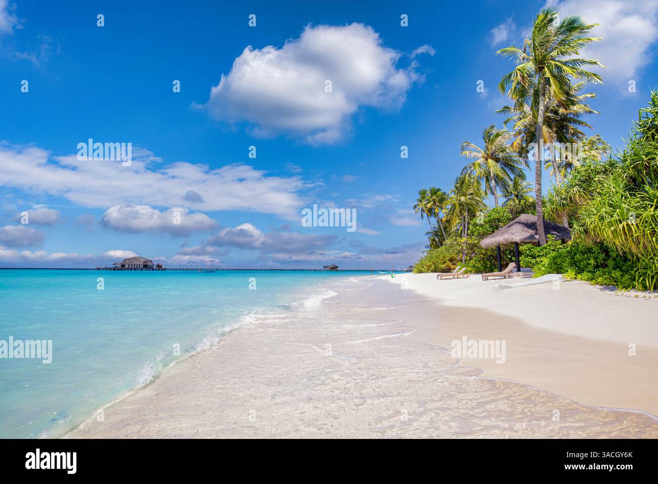 Nahaufnahme Meer Sand Palmen Strand. Panoramablick auf die Insellandschaft. Inspirieren Sie die tropische Küste am Horizont der Meeresbucht. Sonniger, blauer Himmel ruhig, ruhig, entspannend, Sommerurlaub Stockfoto