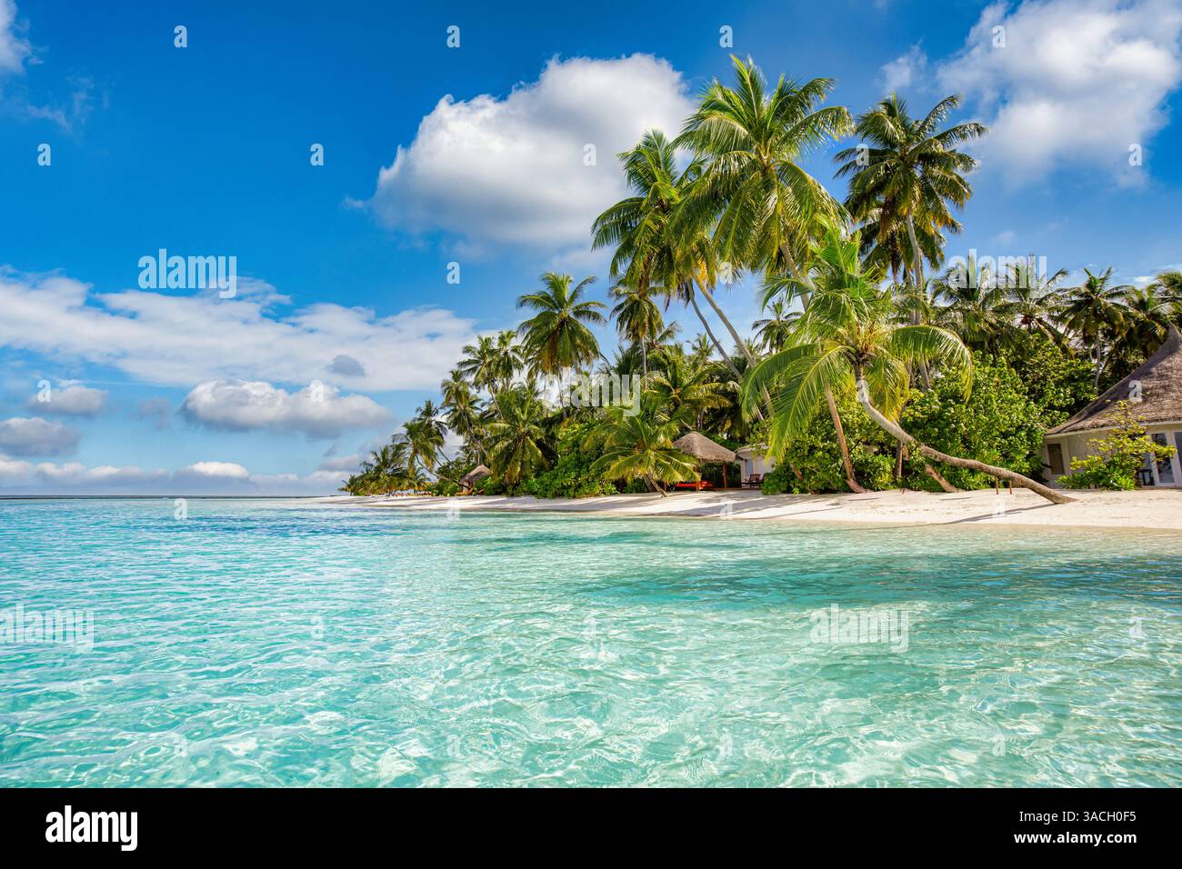 Nahaufnahme Meer Sand Palmen Strand. Panoramablick auf die Insellandschaft. Inspirieren Sie die tropische Küste am Horizont der Meeresbucht. Sonniger, blauer Himmel ruhig, ruhig, entspannend, Sommerurlaub Stockfoto