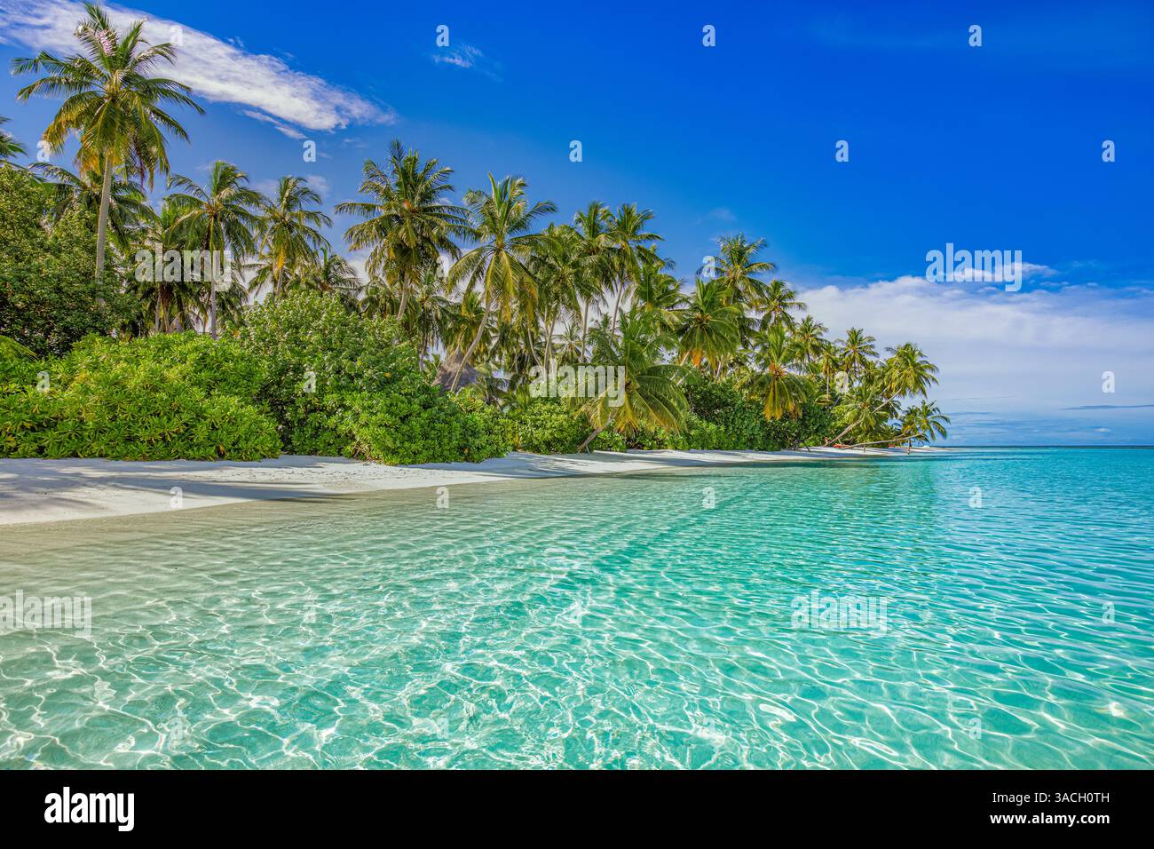 Nahaufnahme Meer Sand Palmen Strand. Panoramablick auf die Insellandschaft. Inspirieren Sie die tropische Küste am Horizont der Meeresbucht. Sonniger, blauer Himmel ruhig, ruhig, entspannend, Sommerurlaub Stockfoto