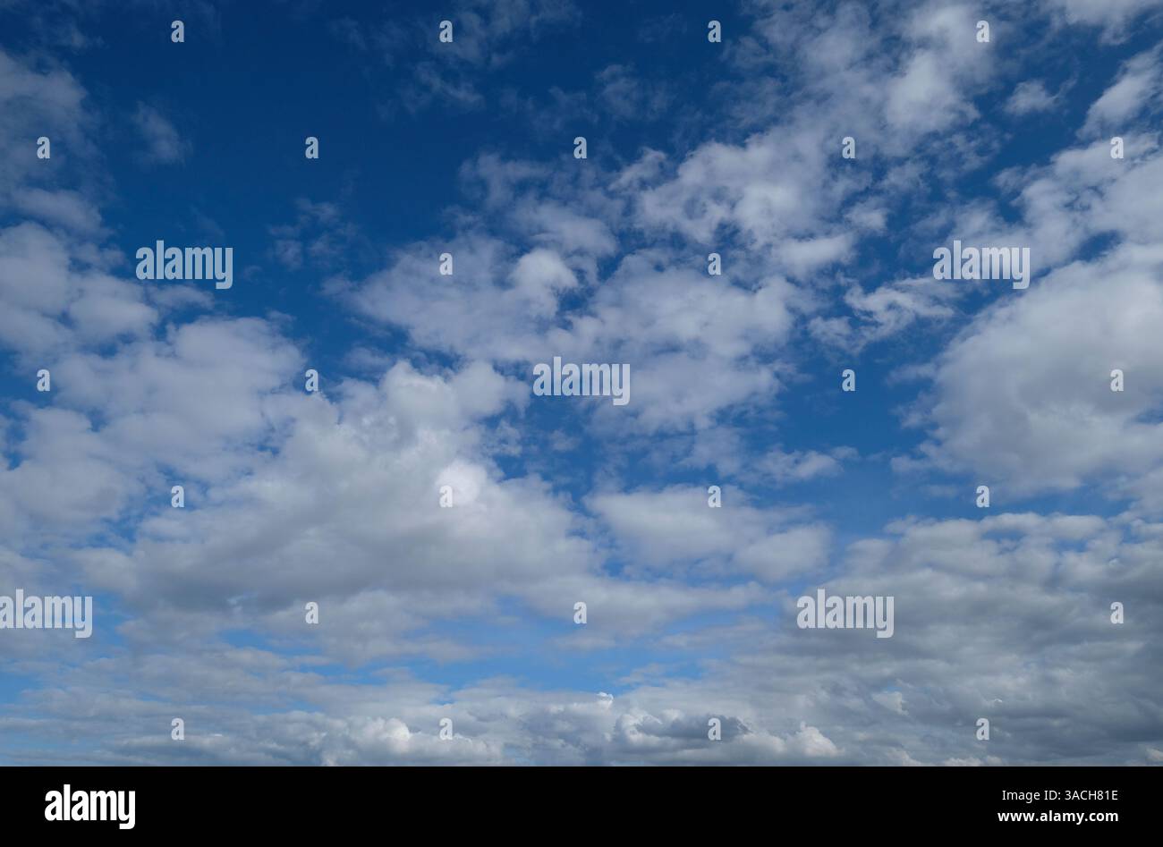 Hellblauer Himmel, weiße flauschige Wolken Stockfoto