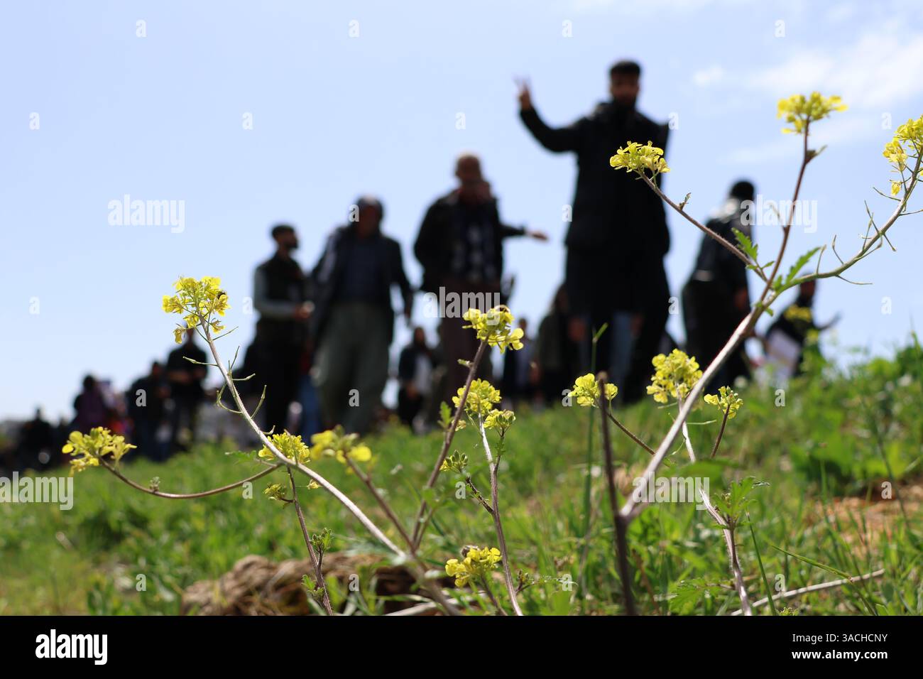 Abdullah Öcalans Geburtstagsfeier, Şanlıurfa, Türkei Ömerli, 4. April 2025. Im Rahmen der Geburtstagsfeier des Vorsitzenden der Kurdischen Arbeiterpartei (PKK), Abdullah Öcalan, marschieren Tausende von Menschen unter der Führung der dem-Partei in das Geburtsdorf Öcalans. Stockfoto