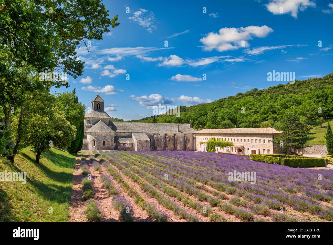 Fröhliche idyllische Landschaft. Beliebter Tourismus in Abtei von Senanque blühende Lavendelblumen Panoramablick. Gordes, Luberon, Provence, Frankreich Stockfoto