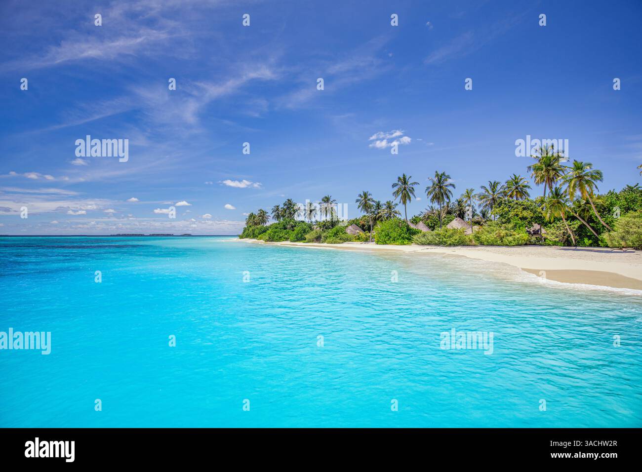 Malediven. Tropischer Paradies Strand, Blick aus der Vogelperspektive auf den friedlichen Meereshimmel, Sandstrand, Palmen. Sonniger Sommerurlaub im Hintergrund. Fantastischer Tourismus Stockfoto