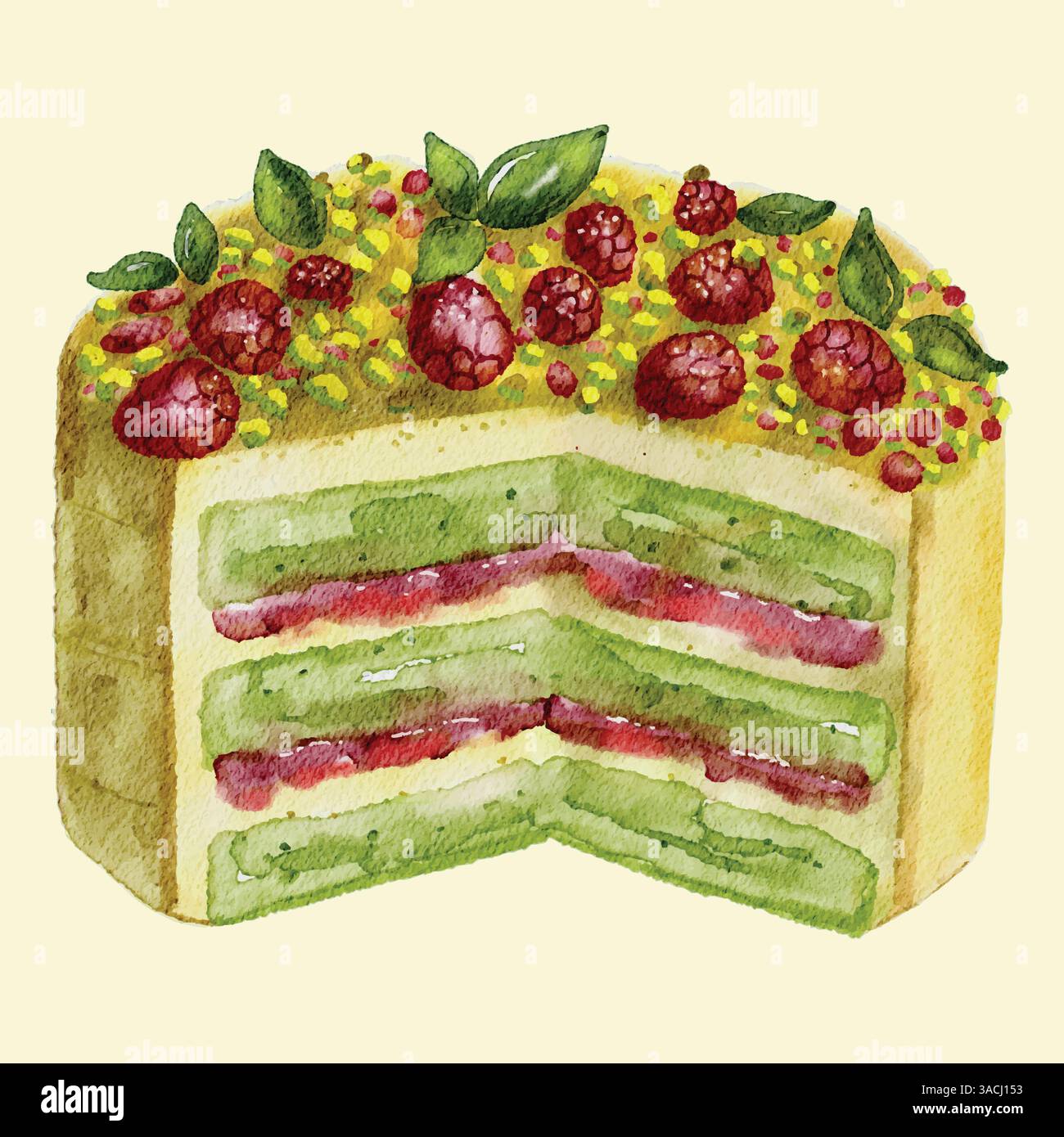 Eine Aquarellabbildung eines geschichteten Kuchenstücks mit Himbeeren und gehackten Nüssen Stock Vektor