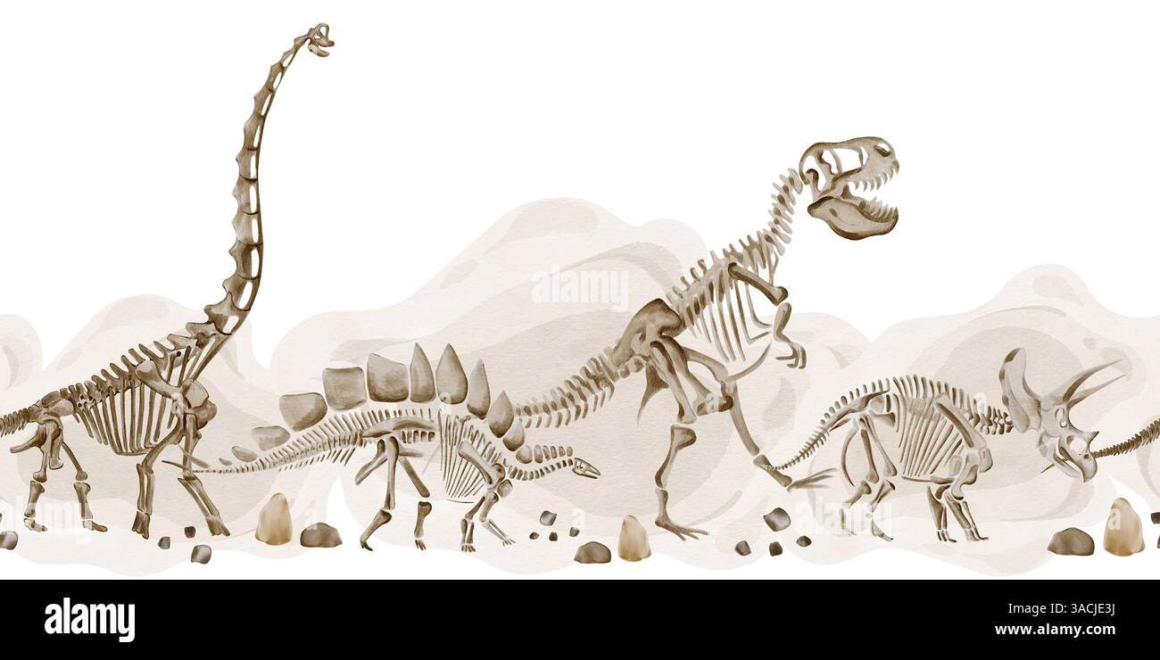 Nahtlose Borte mit Dinosaurierskeletten und Kieselsteinen. Heller Hintergrund. Theranosaurus, Traceratops und Stegosaurus gehen nacheinander. Aquarell Stockfoto