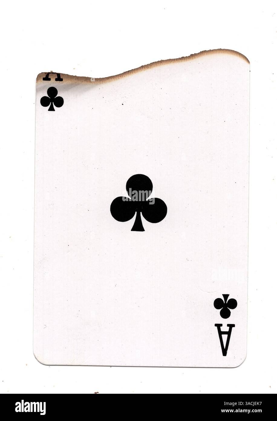 Eine teilweise verbrannte Spielkarte im Anzug von Clubs auf weißem Hintergrund. Stockfoto